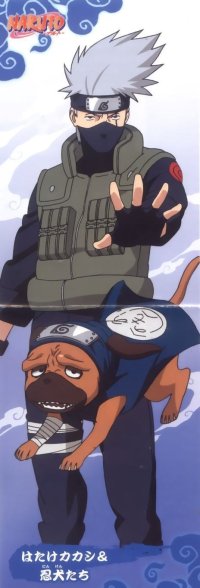 BUY NEW naruto - 118910 Premium Anime Print Poster
